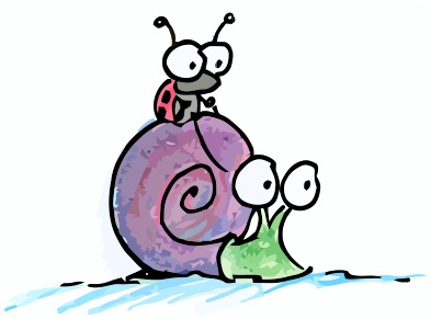 Ladybug Riding a Snail