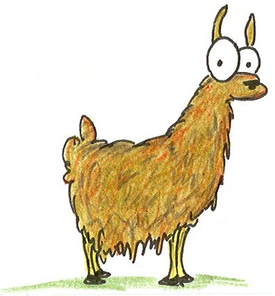 This is the llama.